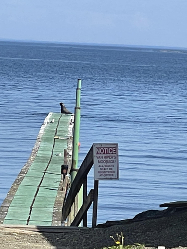 Others 5, Curley's Resort & Dive Center, Clallam