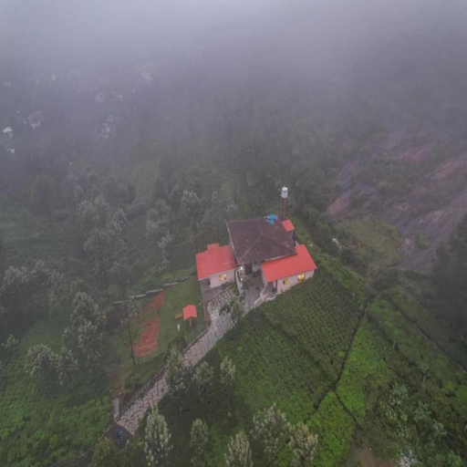 Aerial view, Blue Nile Suits By Indostay, The Nilgiris