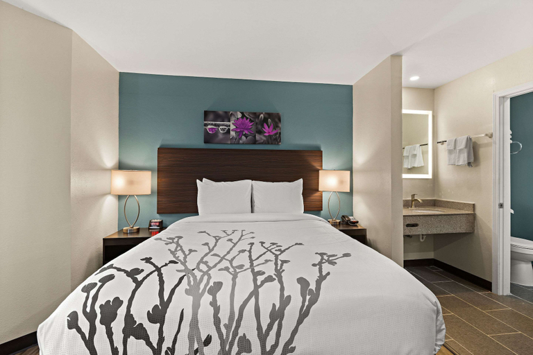 Bedroom 3, Sleep Inn Lithonia - Atlanta East, DeKalb