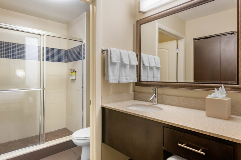 Bathroom 4, Staybridge Suites ST. PETERSBURG DOWNTOWN, Pinellas