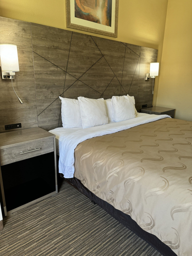 Bedroom 4, Quality Inn Forsyth - Decatur, Macon