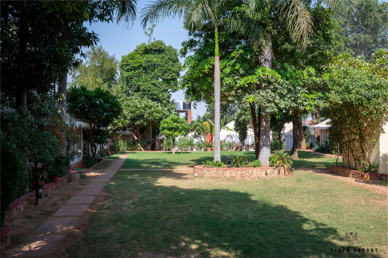 Others 5, RANTHAMBORE TIGER RESORT, Sawai Madhopur