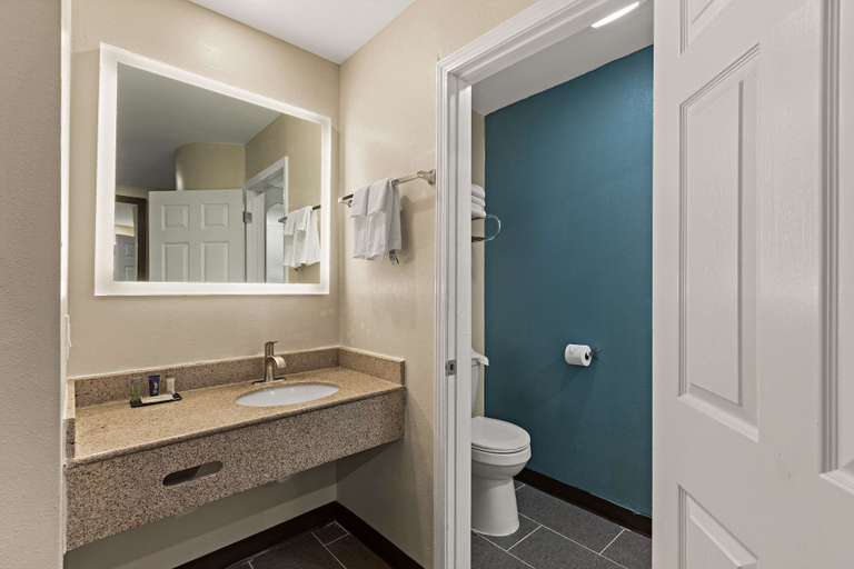 Bathroom 4, Sleep Inn Lithonia - Atlanta East, DeKalb