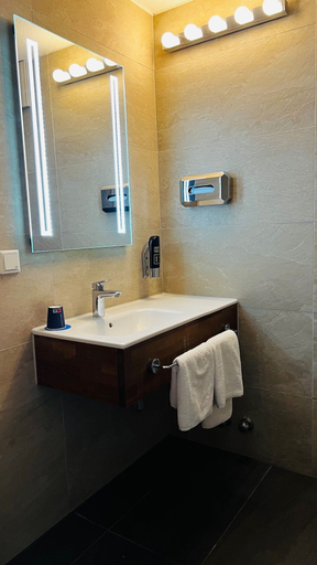 Bathroom 4, Konferenzhotel Ysenburger Hof, Main-Kinzig-Kreis