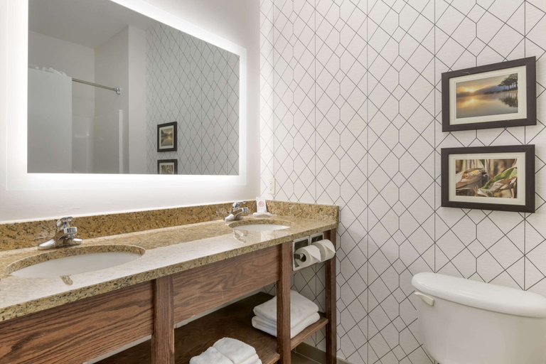 Bathroom 4, Comfort Inn & Suites Davenport - Quad Cities, Scott
