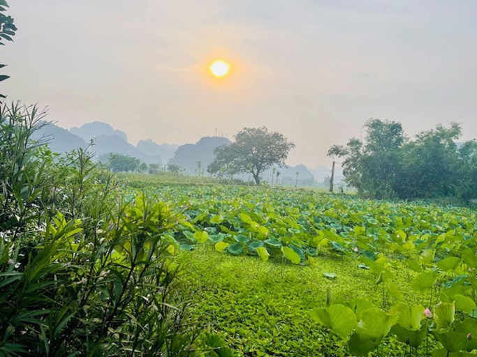 Others 4, Tam Coc Garden Homestay, Hoa Lư