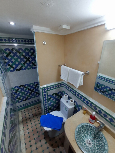 Bathroom 4, Dar Lalj, Fès
