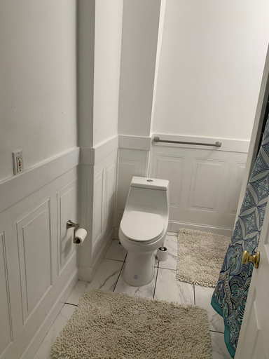 Bathroom 4, Point Breeze Row, Philadelphia