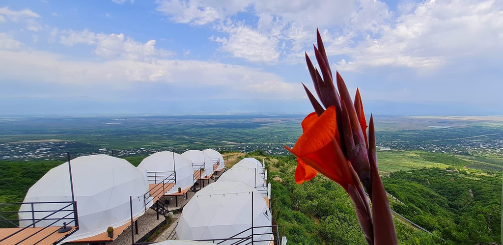 Primary image, Signagi Glamping, Signagi