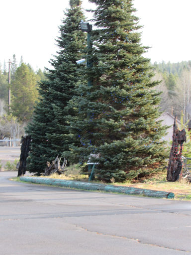 Others 4, The Woodsman Country Lodge, Klamath