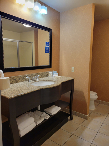Bathroom 4, Hampton Inn & Suites Austin Cedar Park-Lakeline, Williamson