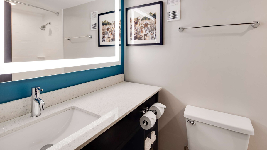 Bathroom 4, Best Western Plus Augusta North Inn & Suites, Richmond