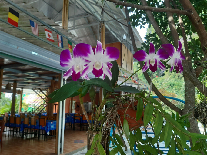 Food & Drinks 4, CAT BA PARK HOMESTAY, Cát Hải
