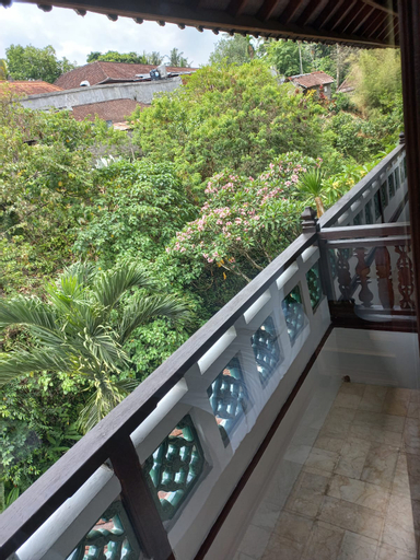 Scenery 24