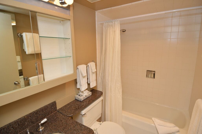 Bathroom 3, Chateau Chaumont & Dumont Condominiums by Frias, Pitkin