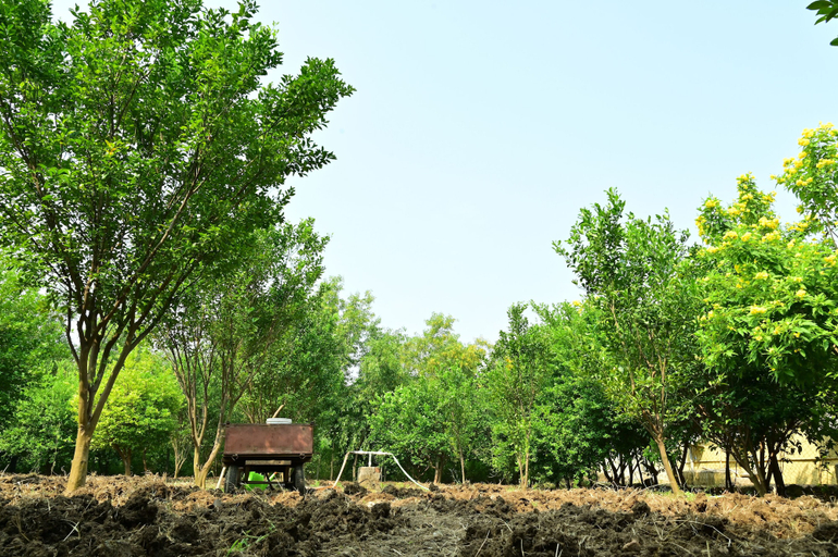 Others 5, Tigers Heaven Resort, Chandrapur