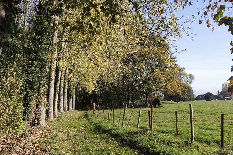 Others 5, Le Domaine Saint Ange, Somme