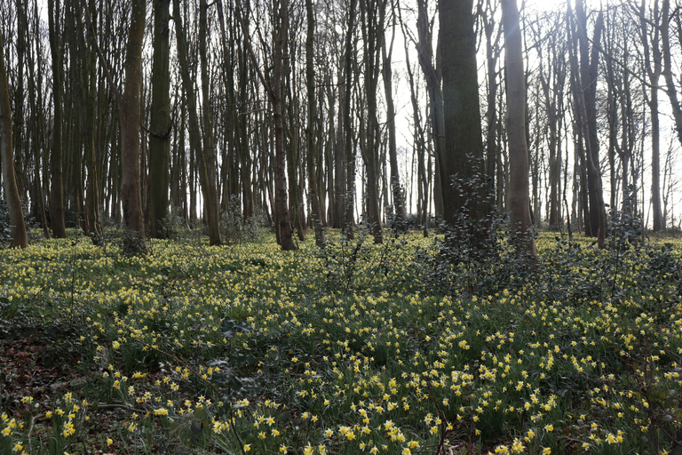 Others 4, Le Domaine Saint Ange, Somme