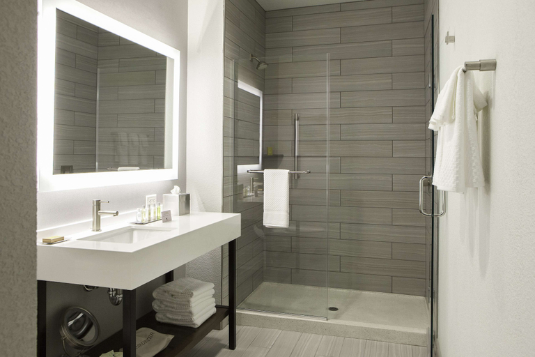 Bathroom 4, Hilton Garden Inn Minneapolis University Area, Hennepin