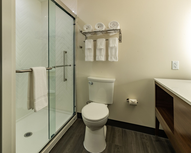 Bathroom 3, Courtyard® by Marriott® Atlanta Dunwoody, DeKalb