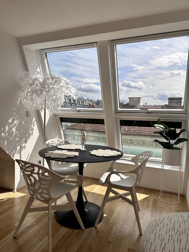Others 4, Dachgeschoss Loft im Herzen von Wien, Wien