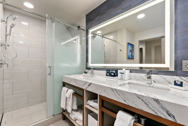 Bathroom 3, Ilani, Clark