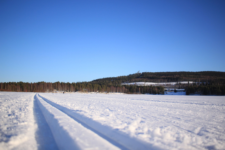 Others 5, Kultaranta Kultakimpaleet, Kainuu