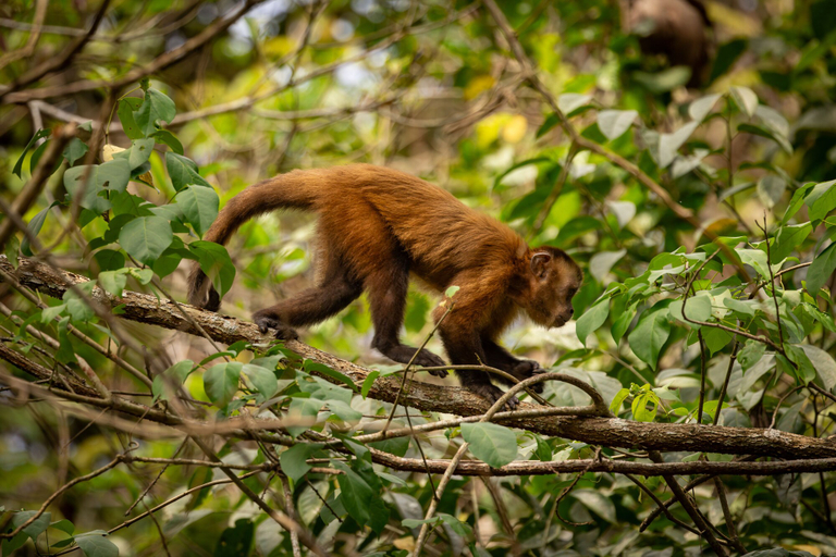 Exterior & Views, Alta Sanctuary, Tambopata