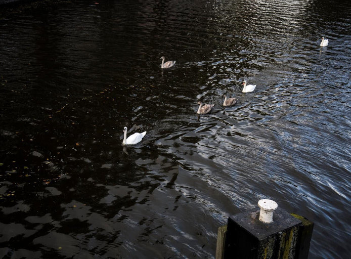 Others 4, SWEETS - Kattenslootbrug, Amsterdam