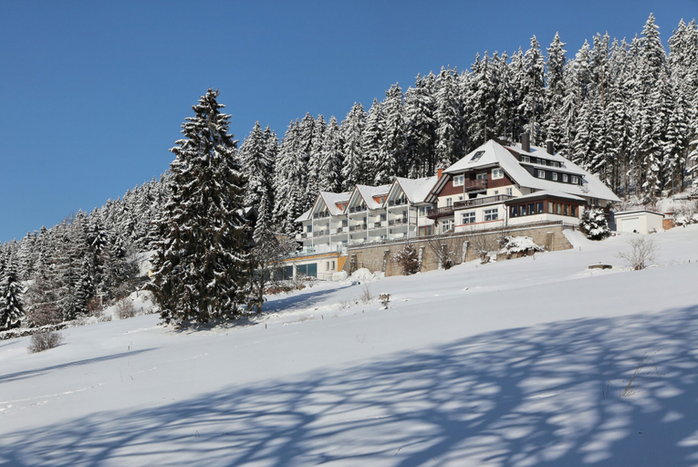 Exterior & Views 2, Jufa Hotel Schwarzwald, Breisgau-Hochschwarzwald
