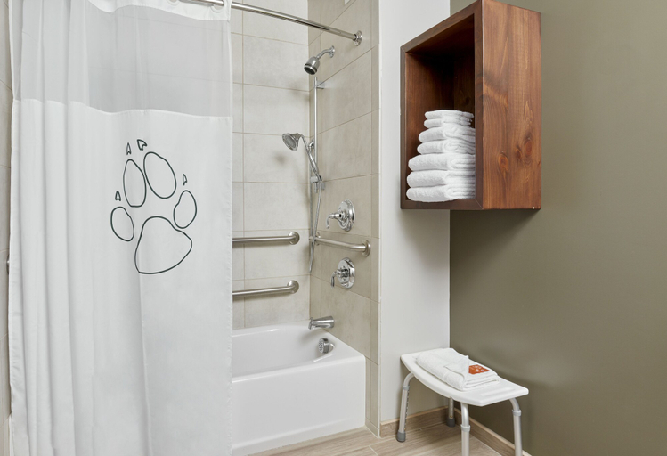 Bathroom 5, Great Wolf Lodge Arizona, Maricopa
