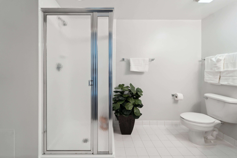 Bathroom 3, 2BR Luxury City Suite With Gym & Pool, Arlington