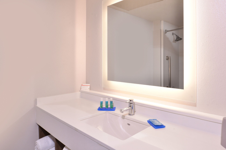 Bathroom 3, Holiday Inn Express & Suites MESQUITE by IHG, Dallas