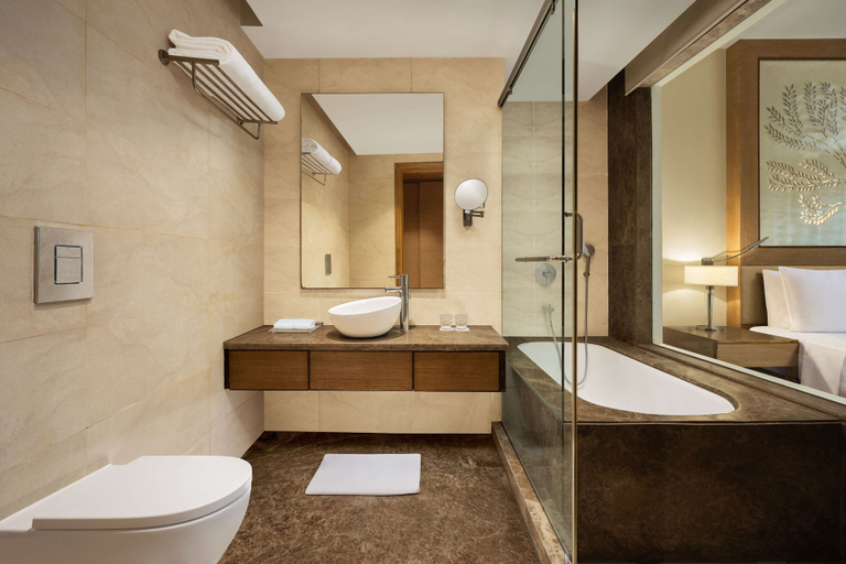 Bathroom 5, Radisson Blu Hotel New Delhi Dwarka, Delhi