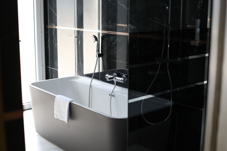 Bathroom 5, Hôtel Séquoias, Isère