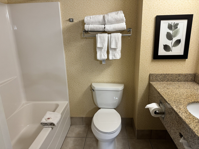 Bathroom 4, Comfort Inn & Suites St. Paul Northeast, Ramsey