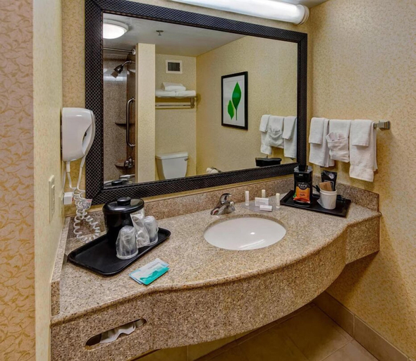 Bathroom, Fairfield Inn & Suites Murfreesboro, Rutherford