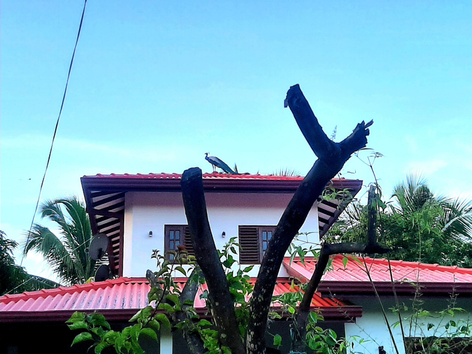 Others 3, Udara Guest Yala, Thissamaharama