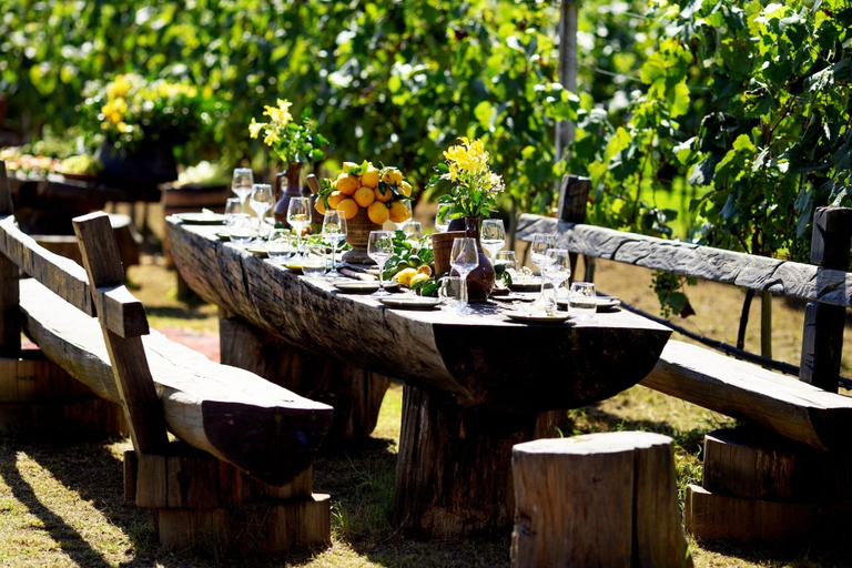 Food & Drinks 4, Chateau Kvirike, Kobuleti