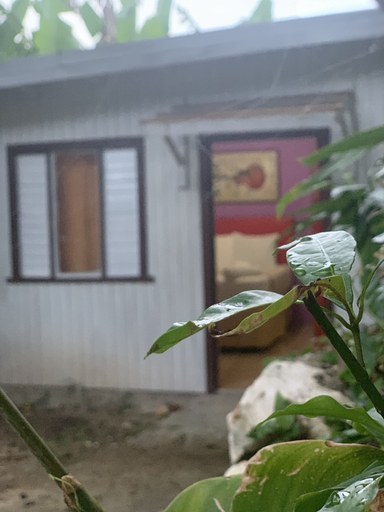 Exterior & Views, The Cottage