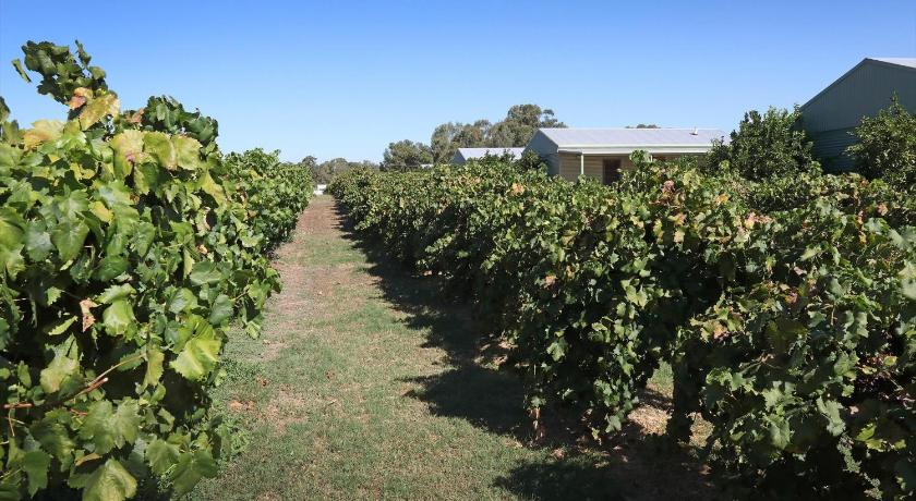 Swan Valley Sisters, Swan