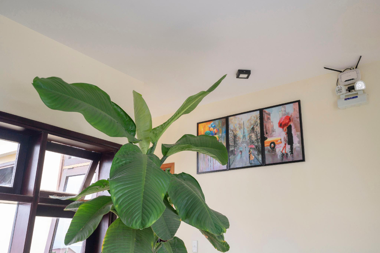Public Area 2, Maison Hai Homestay, Da Nang