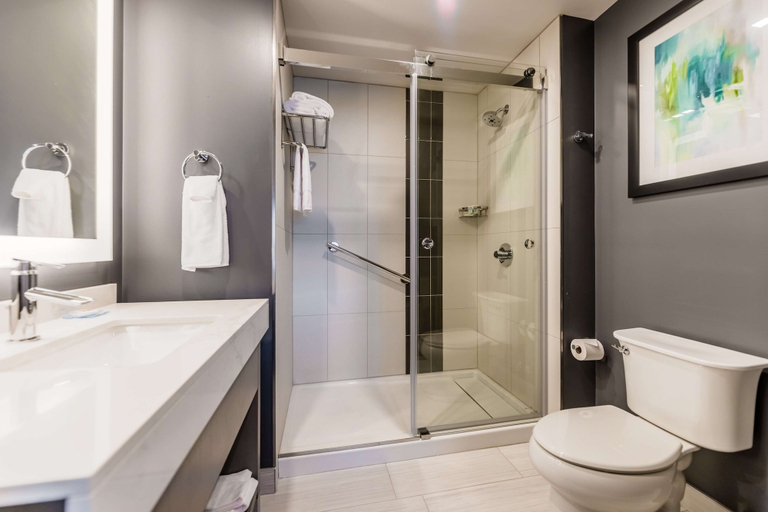 Bathroom 4, Hyatt House Winnipeg-South/Outlet Collection, Division No. 11