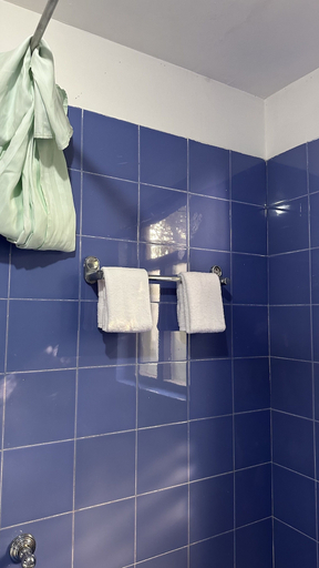 Bathroom 4, Lumbini Buddha Garden Resort, Lumbini