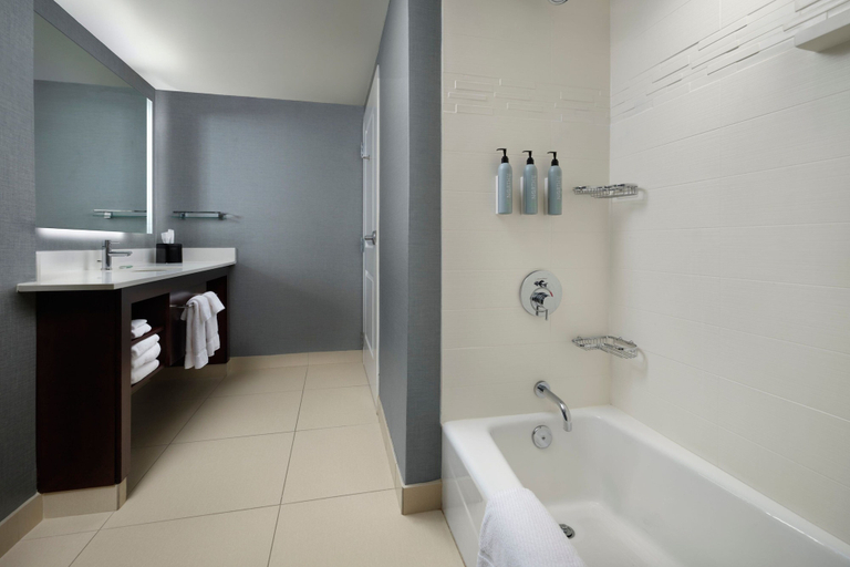 Bathroom 4, Residence Inn by Marriott Green Bay Downtown, Brown