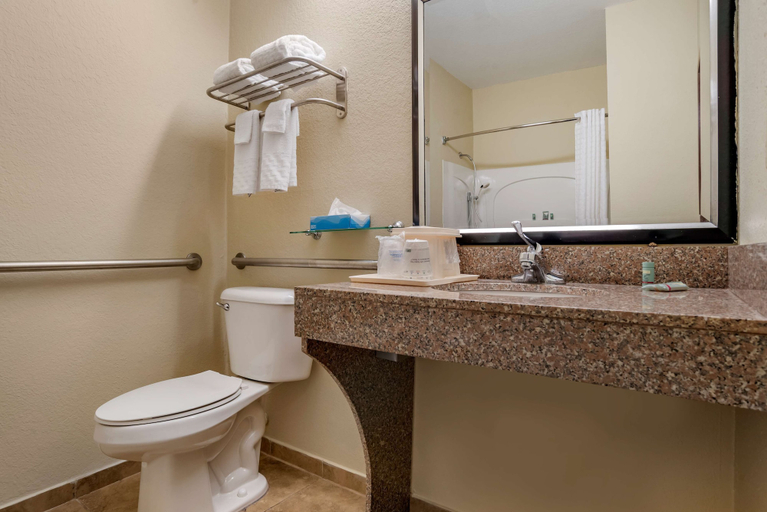 Bathroom 4, Best Western Troy Inn, Pike