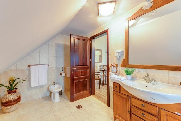 Bathroom 5, Hotel Karlhof, Sebes