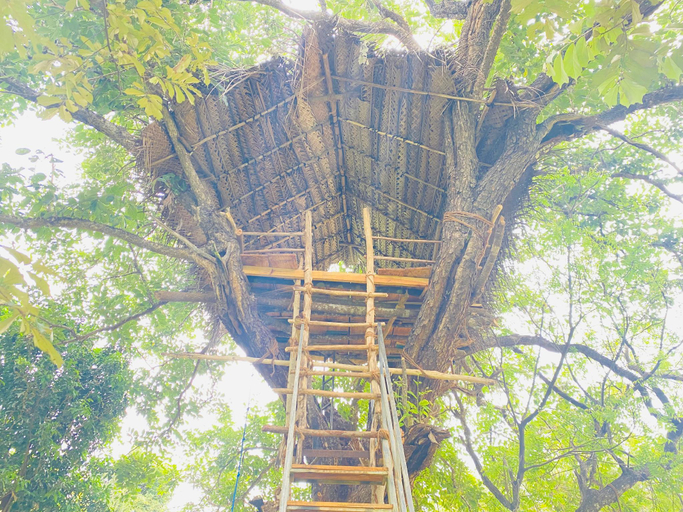 Others 5, Ima Villa Sigiriya, Dambulla