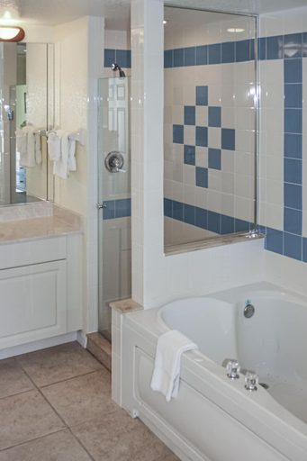 Bathroom 5, Hilton Vacation Club The Cove on Ormond Beach, Volusia