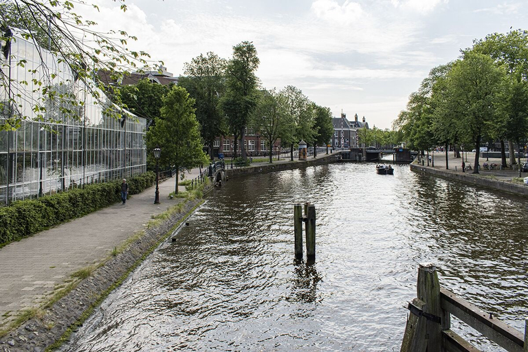 Others 5, SWEETS - Hortusbrug, Amsterdam